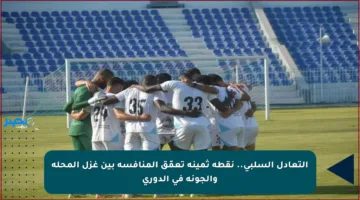 التعادل السلبي.. نقطة ثمينة تعمّق المنافسة بين غزل المحلة والجونة في الدوري